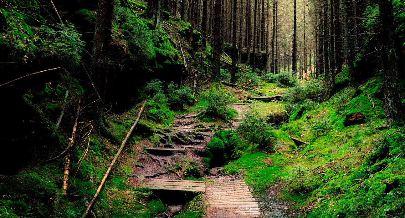 Smart Kiosks with Integrated Relief Systems. An Interactive and Eco-friendly Solution for Emergency Provisions. The durable structure of the kiosk provides shelter against the elements and wildlife, and also allows patrons a convenient location to recuperate