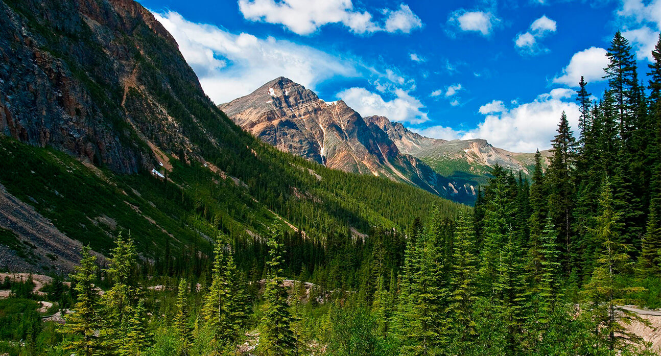 Smart Kiosks with Integrated Relief Systems. An Interactive and Eco-friendly Solution for Emergency Provisions. The durable structure of the kiosk provides shelter against the elements and wildlife, and also allows patrons a convenient location to recuperate